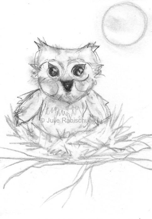 littlest owl by Julie Rabischung
